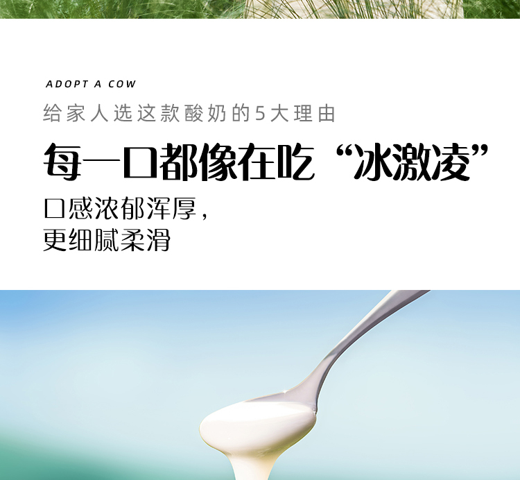 认养一头牛常温原味法式酸奶风味酸奶 新老包装随机发货200克*12盒*2箱