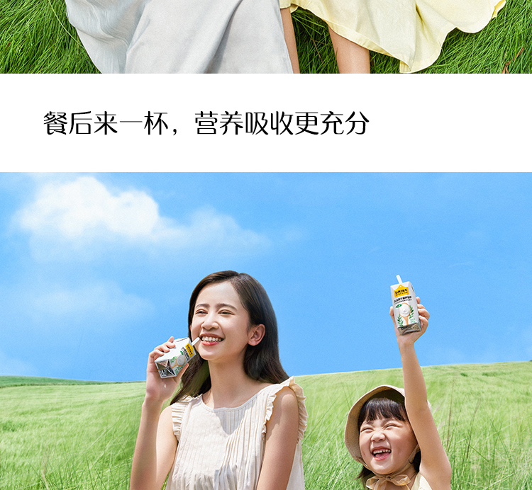 认养一头牛常温原味法式酸奶风味酸奶 新老包装随机发货200克*12盒*2箱