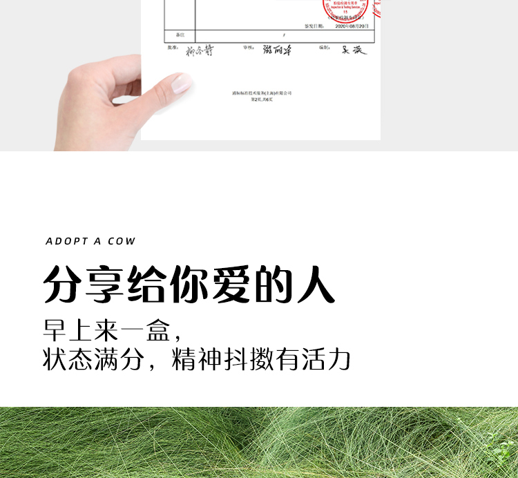 认养一头牛常温原味法式酸奶风味酸奶 新老包装随机发货200克*12盒*2箱