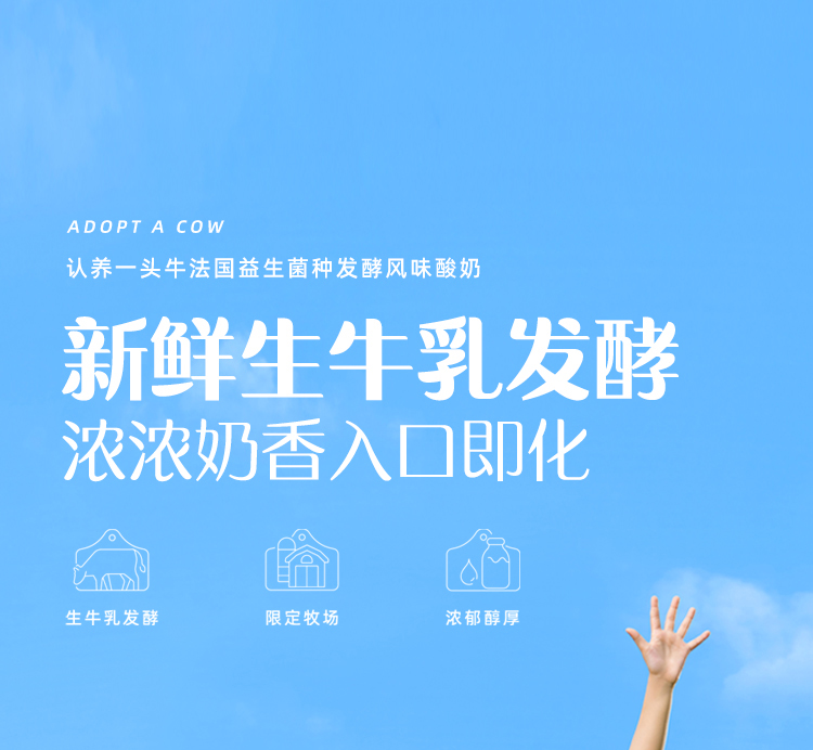 认养一头牛常温原味法式酸奶风味酸奶 新老包装随机发货200克*12盒*2箱