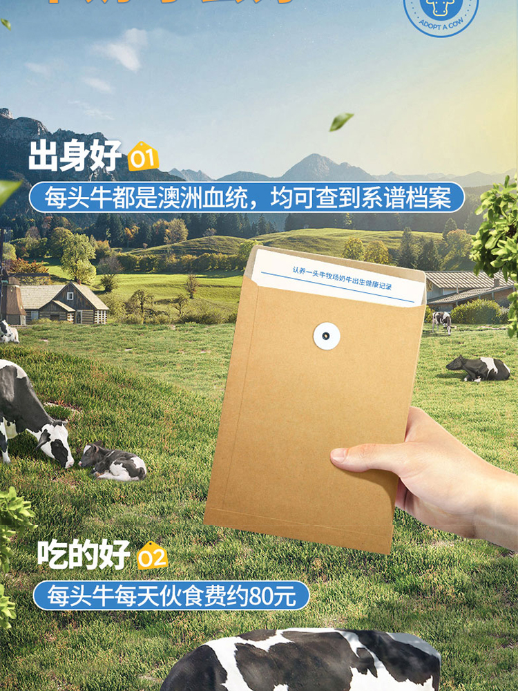 认养一头牛全脂纯牛奶 早餐营养奶 250ml*12盒*2箱 （新老包装随机发货）