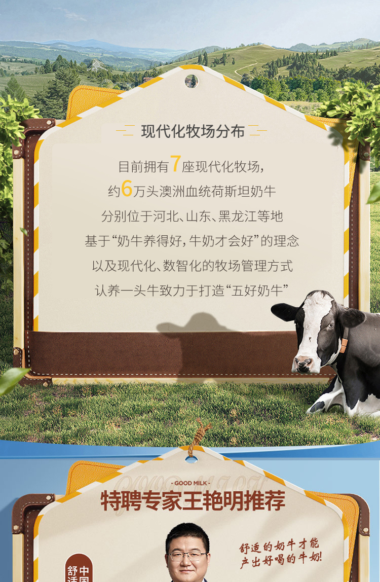 认养一头牛全脂纯牛奶 早餐营养奶 250ml*12盒*2箱 （新老包装随机发货）