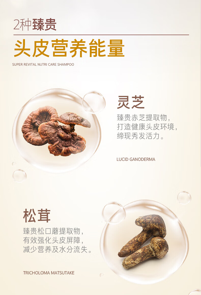 吕多效养护强韧发根洗发水400ml（黑吕）