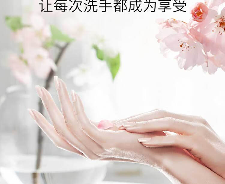 LUX抑菌泡泡洗手液 手部清洁液 悠婉莹净225ml