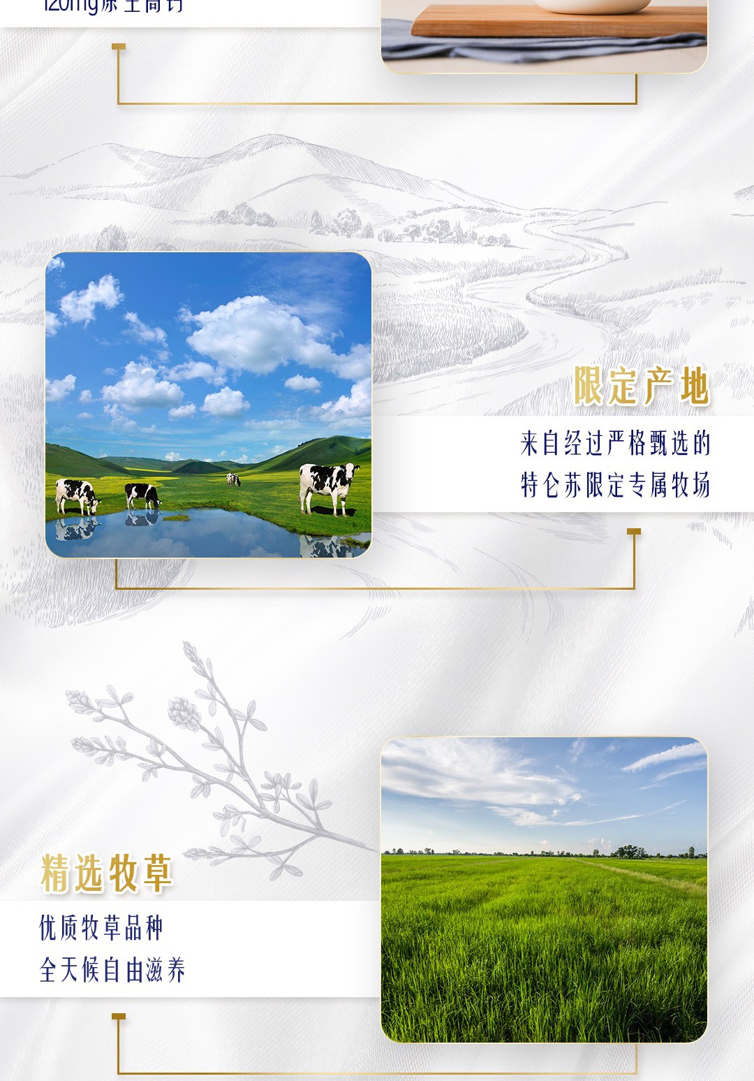蒙牛 特仑苏纯牛奶250ml*12盒/箱