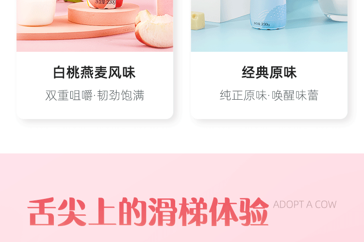 认养一头牛 法式风味高端酸奶 员工福利 原味+白桃燕麦味230g*10瓶共2提
