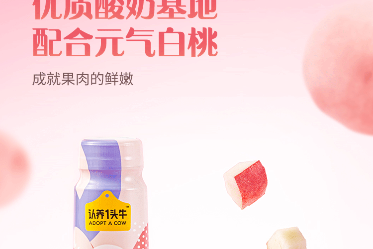 认养一头牛 法式风味高端酸奶 员工福利 原味+白桃燕麦味230g*10瓶共2提