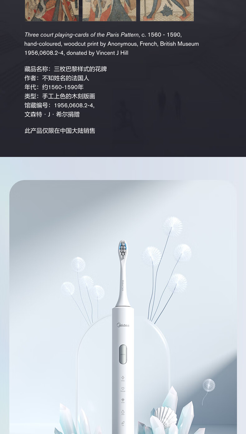 美的（Midea）电动牙刷成人 S1P-2 声波震动 300天长续航 智能换区提醒牙刷