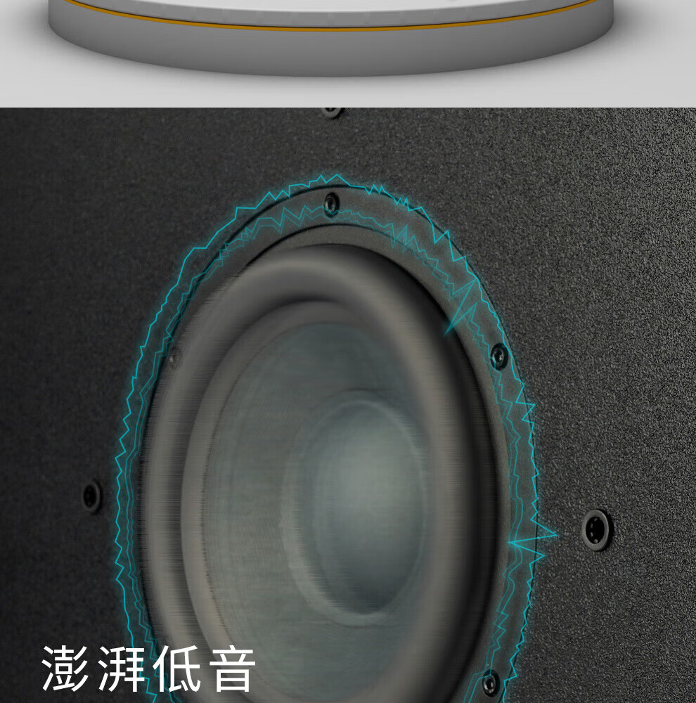 完美本色（Perfect Pure） 专业8吋超低音音箱家庭影院娱乐健身家用K歌 黑色 S8 Pro