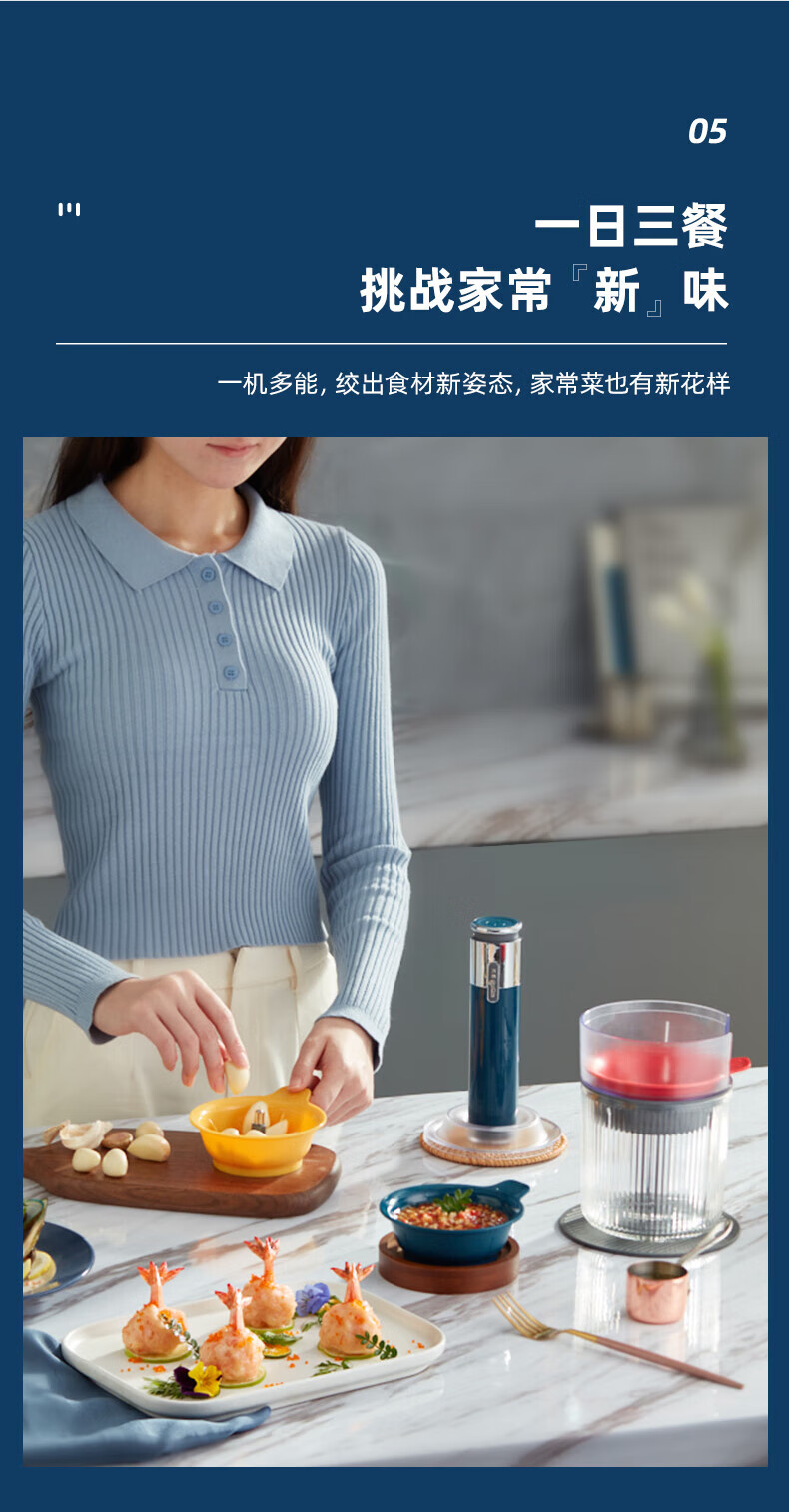 东菱（Donlim）佐料机 DL-6082 绞肉机 家用料理机 婴儿 辅食 小型 料理棒 切菜绞肉捣蒜器 多功能百味佐料机
