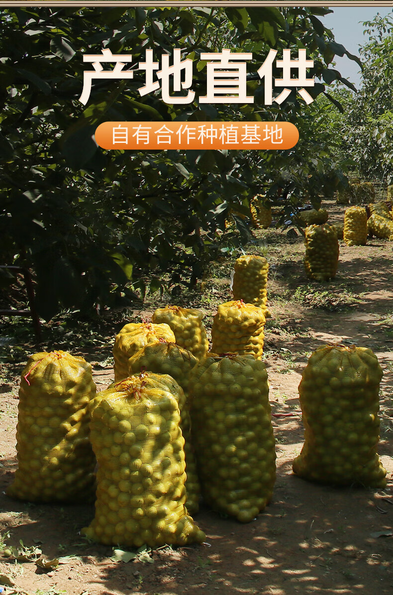 西域美农休闲食品 零食小吃 散装 温宿纸皮核桃1.5kg
