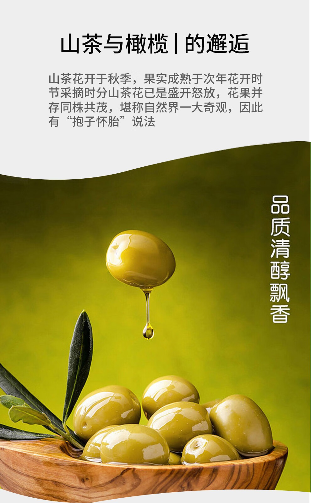宫粮企业团购员工福利 山茶橄榄调和油1.8L
