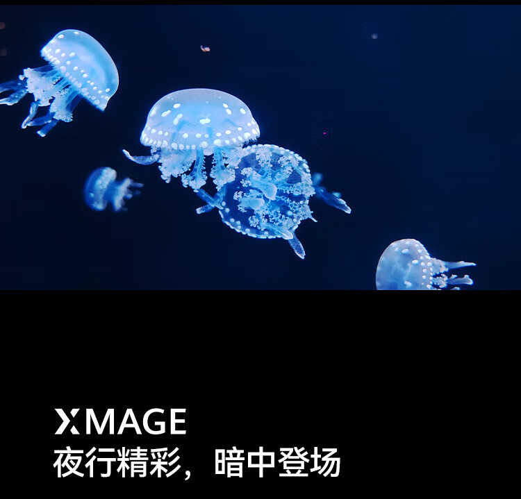 华为 超聚光夜视长焦 昆仑玻璃 双向北斗卫星消息 256GB 洛可可白 鸿蒙智能旗舰手机 P60Pro 8+256可可白