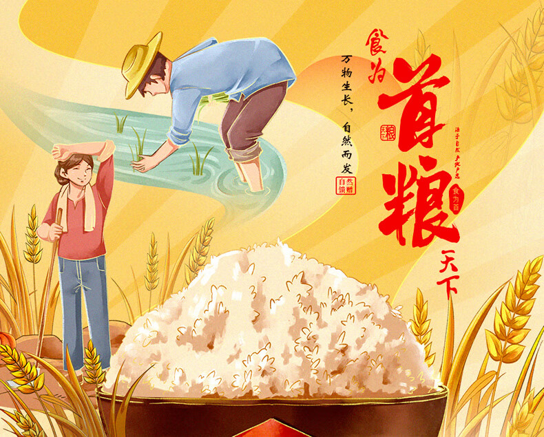 首粮礼品年货礼盒 企业慧采团购 伴手礼 五常长粒香大米5000g
