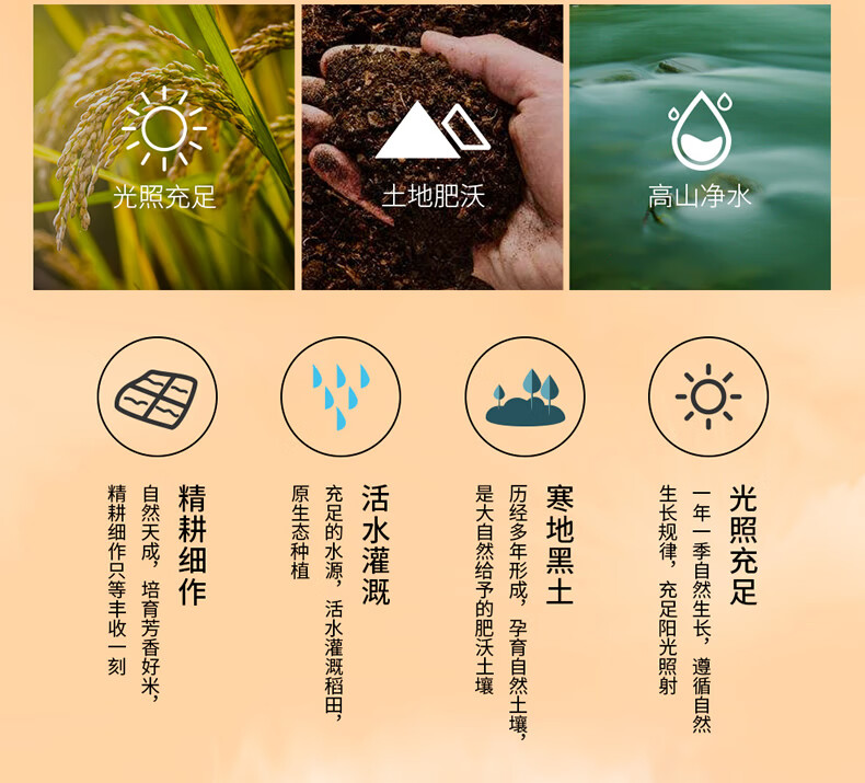 首粮礼品年货礼盒 企业慧采团购 伴手礼 五常长粒香大米5000g