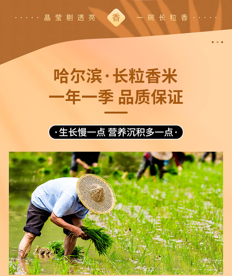 首粮礼品年货礼盒 企业慧采团购 伴手礼 五常长粒香大米5000g