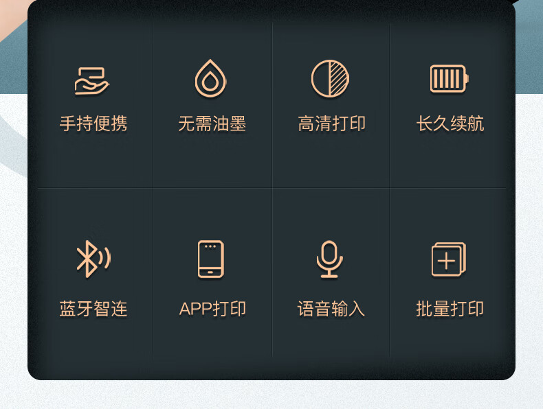 精臣 D11线缆智能标签打印机家用办公手持便携小型智能通信工程光纤网线电线迷你热敏不干胶多功能 D11黑色