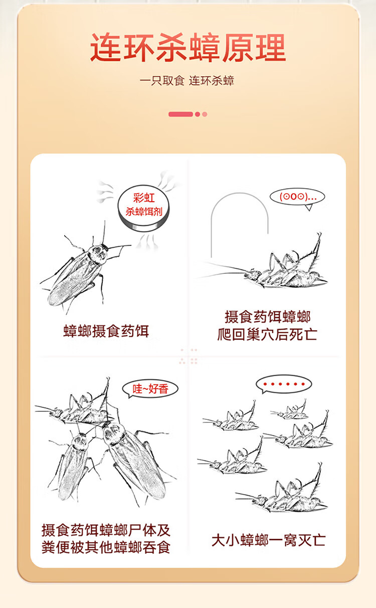 彩虹蟑螂药 蟑螂诱捕器 杀蟑饵剂 9+1个/盒 2盒装 5802-2