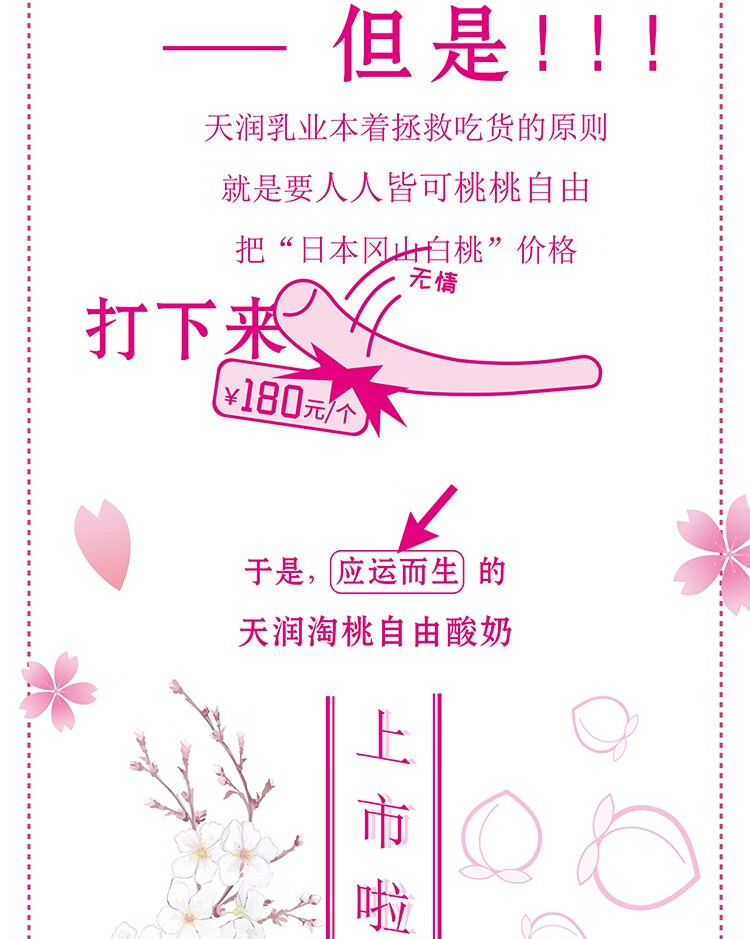 天润（TERUN）酸奶新疆浓缩低温奶桃桃自由酸牛奶白桃风味白桃奶 400gx2杯