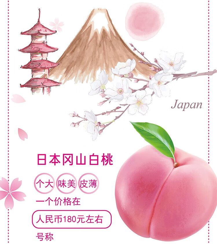 天润（TERUN）酸奶新疆浓缩低温奶桃桃自由酸牛奶白桃风味白桃奶 400gx2杯