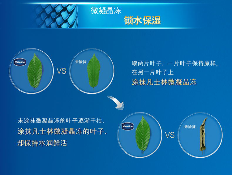 凡士林 滋润唇膜 经典修护保湿润唇膏 经典原味7g（新老包装随机发货）