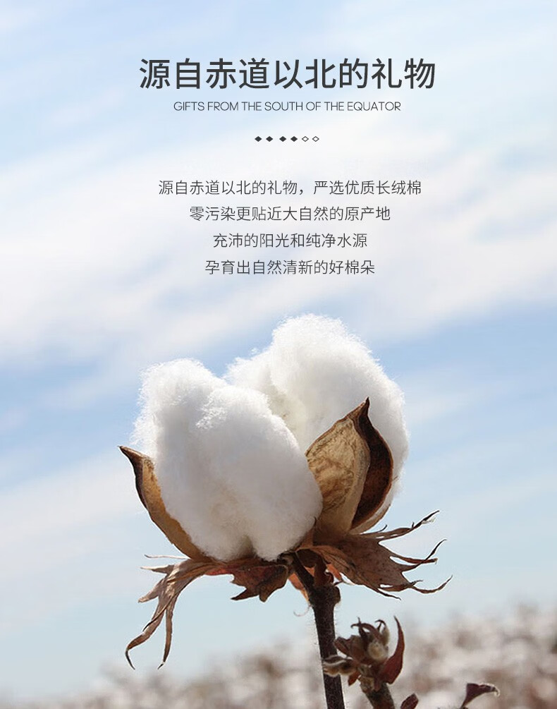 孚日家纺宇宙四件套双面抗菌60S高密面料220cm*240cm咬鹃森林 DFF2-2002-B