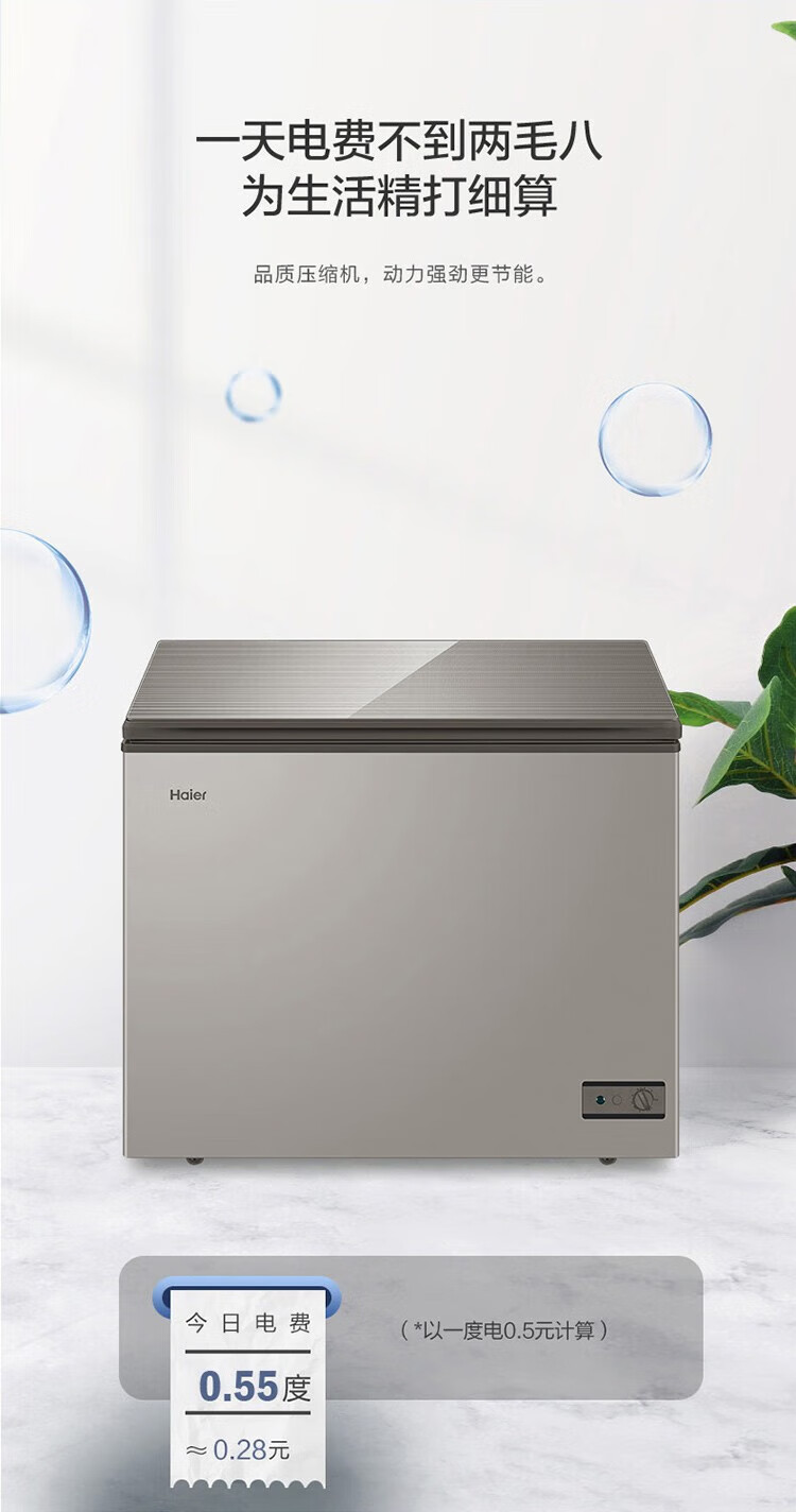 海尔（Haier）冰柜家用203升 冷藏冷冻转换一级能效小冷柜 减霜80%无需除霜小冰箱 BC/BD-203HMC