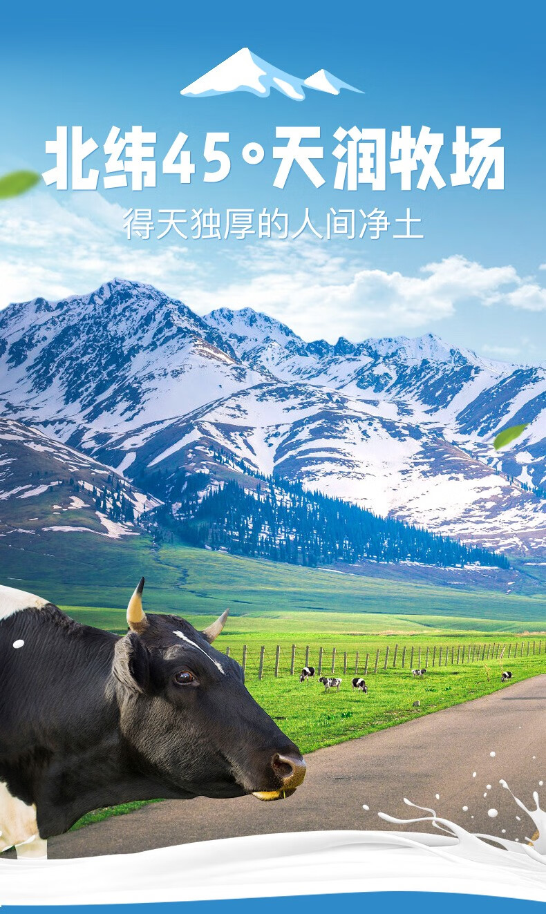 天润（TERUN）新疆牛奶低温润康方桶酸奶 原味老酸奶 1kg*2桶