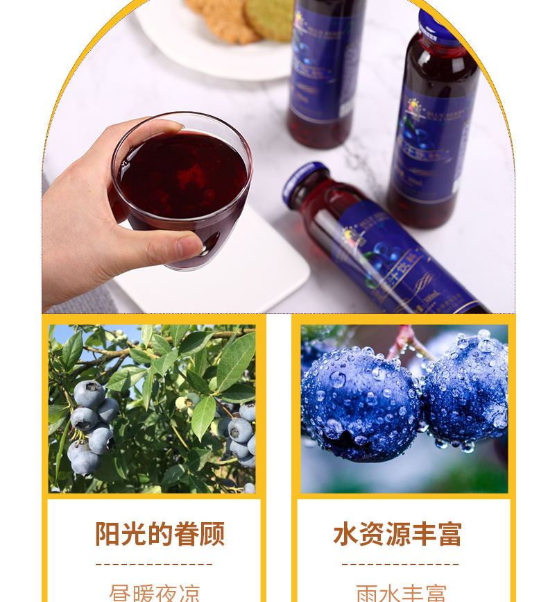 吕梁野山坡 饮料系列蓝莓汁饮料300ml*8瓶