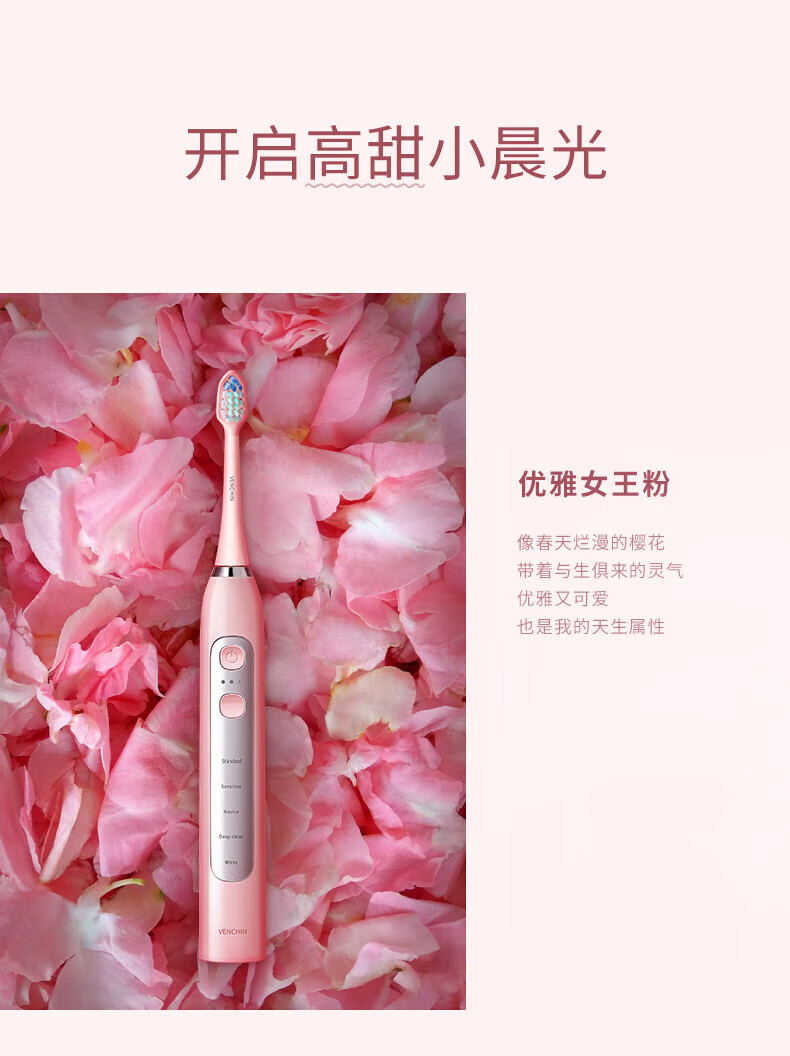 蓓慈（Beici）声波电动牙刷成人家用男女情侣款充电式洁牙器杜邦软刷毛牙刷头 VY01B1温莎蓝