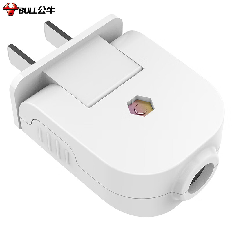 公牛（BULL）二三脚插头3脚空调插 2脚电源插座无线/自行接线 GNT-10L6二脚10A插头(独立包装）