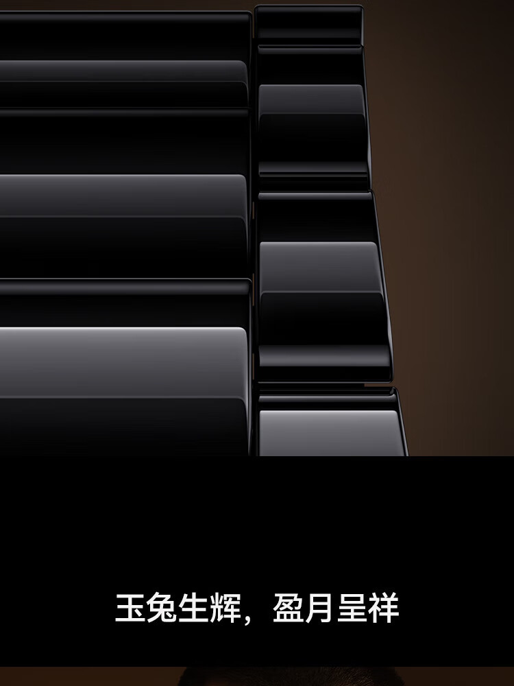 华为 华为手表 运动智能手表 黑色陶瓷表带 WATCH GT3 PRO 典藏版