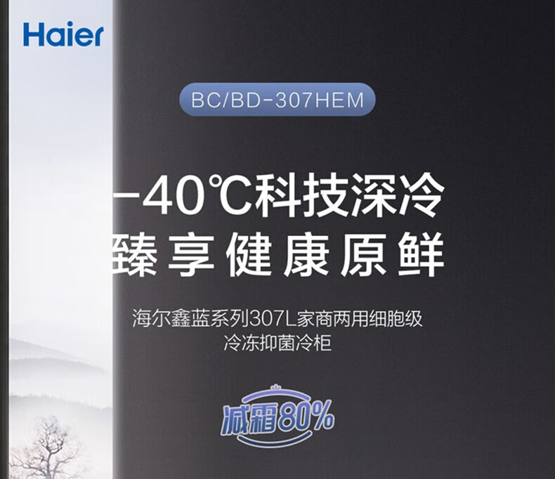 海尔（Haier）冰柜家用商用大容量300升深冷速冻冷冻柜超低温深冷速冻一级能效 300升冻约420斤肉BC/BD-300GHZ