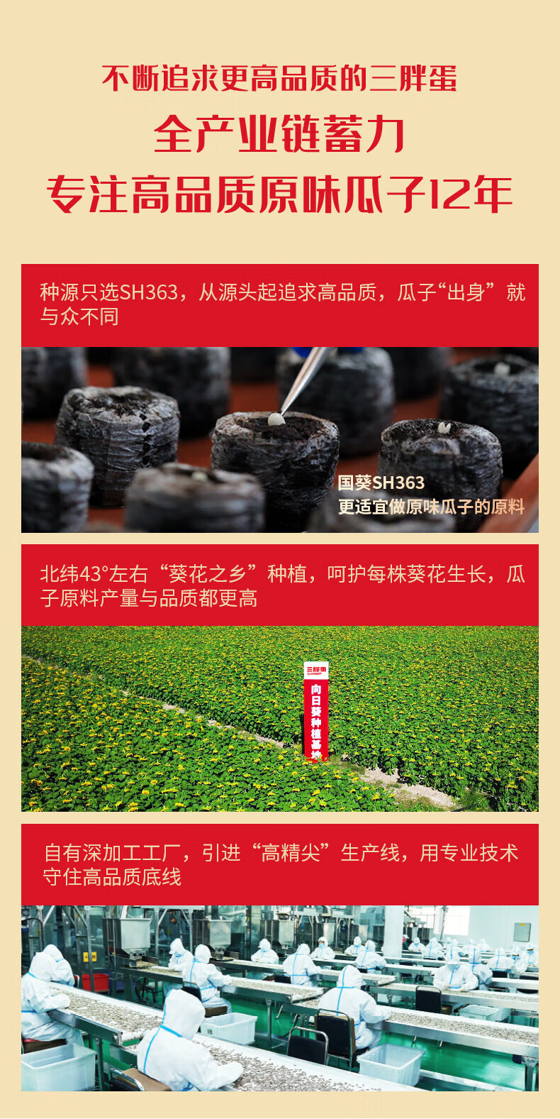 三胖蛋（sanpangdan） 坚果零食大礼包 经典瓜子180g*6罐