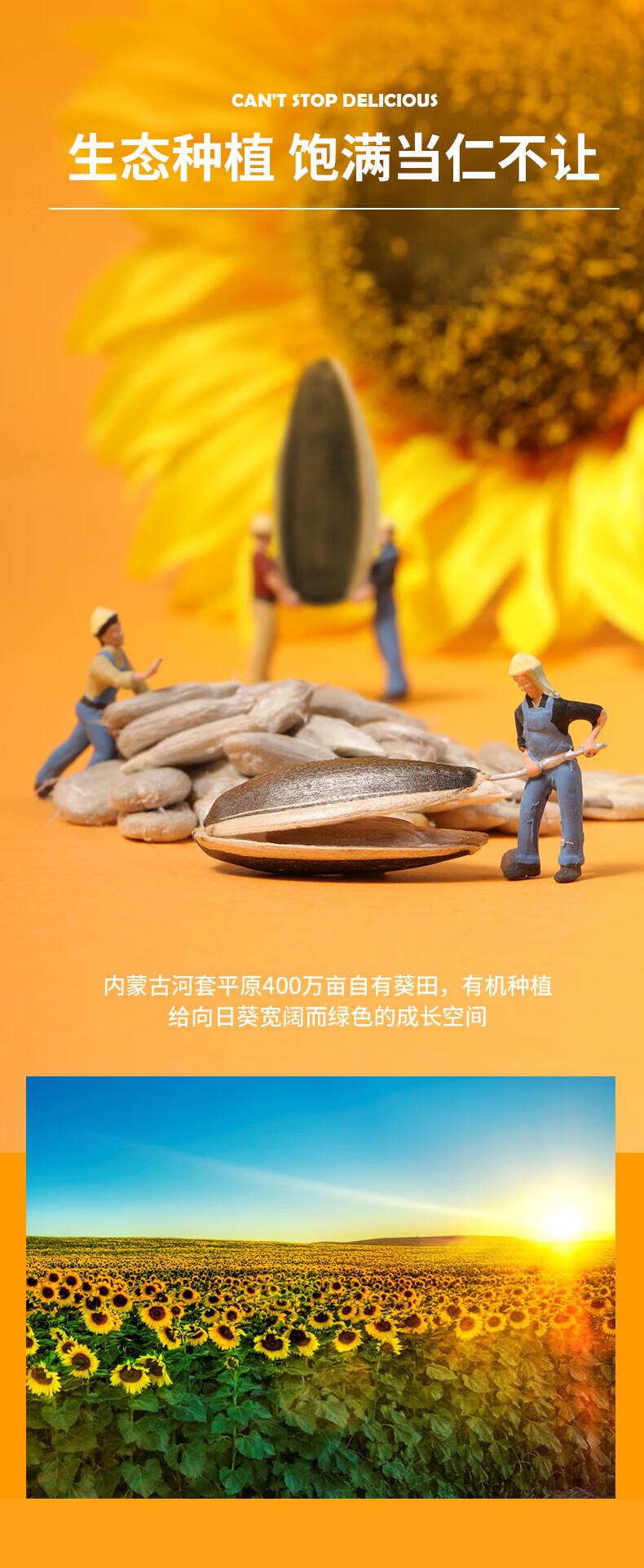 三胖蛋（sanpangdan） 坚果炒货 休闲零食 原味大葵花籽218g*2罐（新老包装随机发货）
