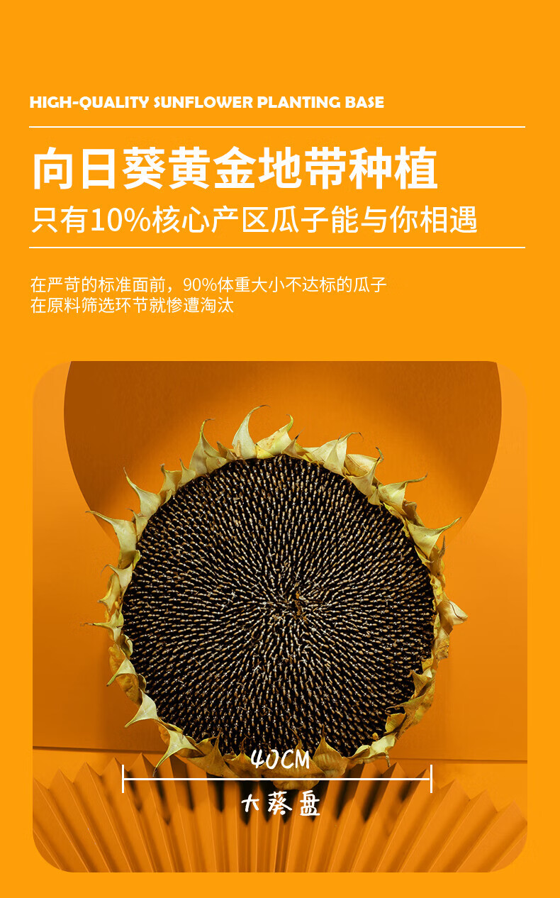 三胖蛋（sanpangdan） 坚果炒货 休闲零食 原味大葵花籽218g*2罐（新老包装随机发货）