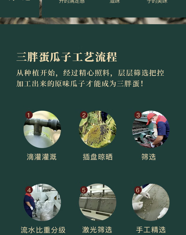 三胖蛋（sanpangdan） 坚果零食大礼包 原味瓜子中端礼盒218g*6罐