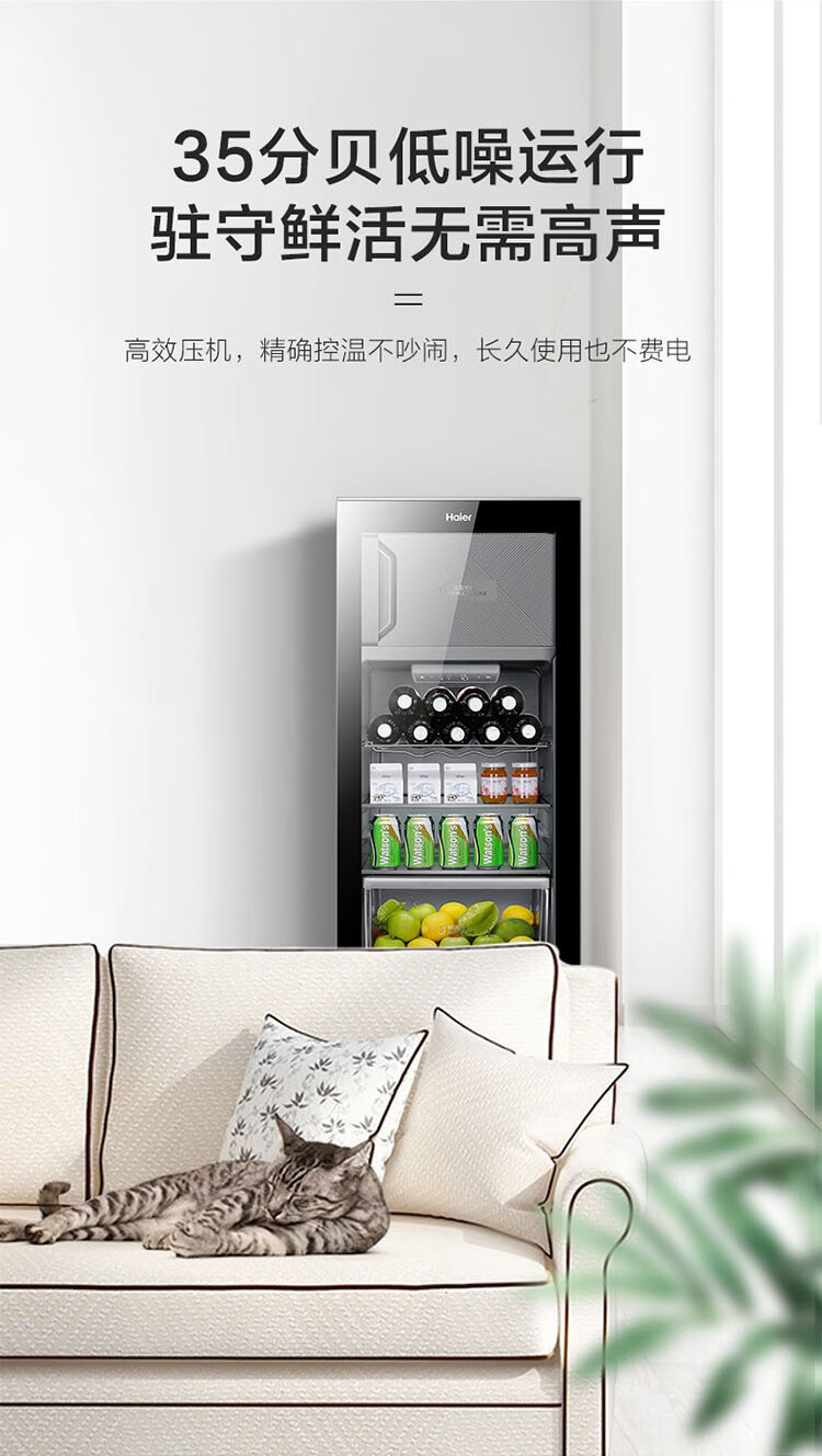 海尔（Haier）LC-167LH69D1? 办公室水果茶叶红酒冷藏迷你保鲜冷柜 167升 黑色（单位：台）