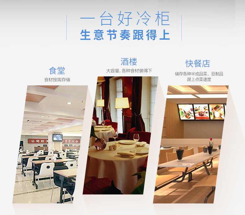 海尔（Haier）890升商用不锈钢四门厨房冰柜 饭店酒店立式双温冷柜 商用冰箱SL-1020C2D2