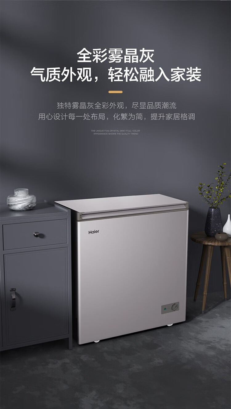 海尔（Haier）一级能效家用小冷柜小家用冷冻保鲜柜冷藏冷冻转换冰柜节能卧式速冻冰柜 BC/BD-100GHPC