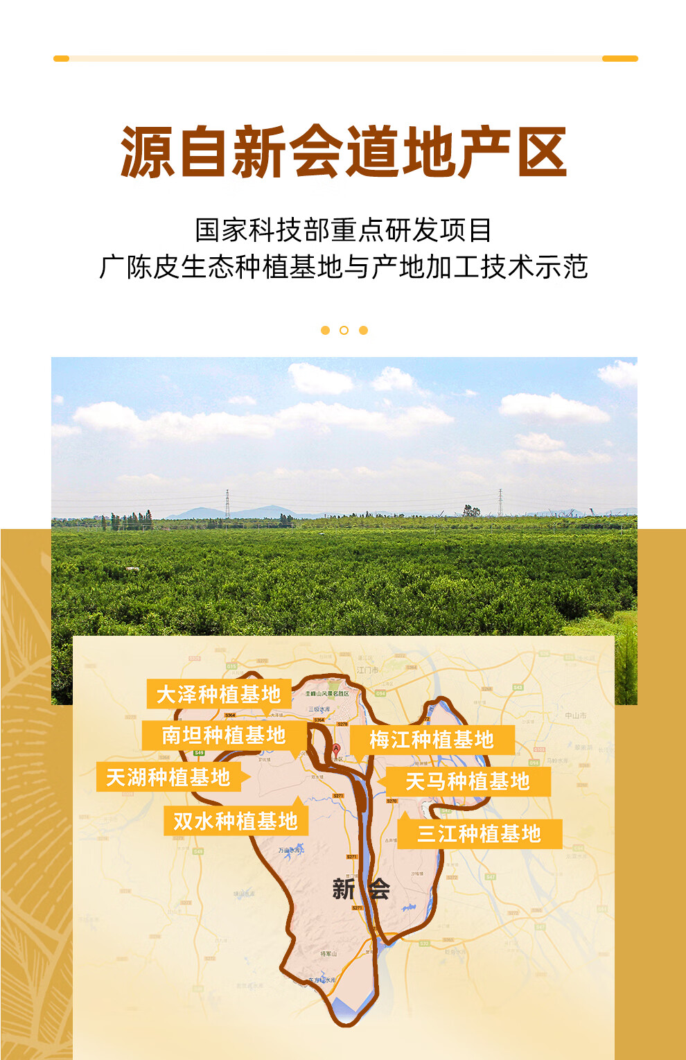 新宝堂 新会陈皮养生茶袋泡茶礼盒90克(30克*3盒)CD-HC30