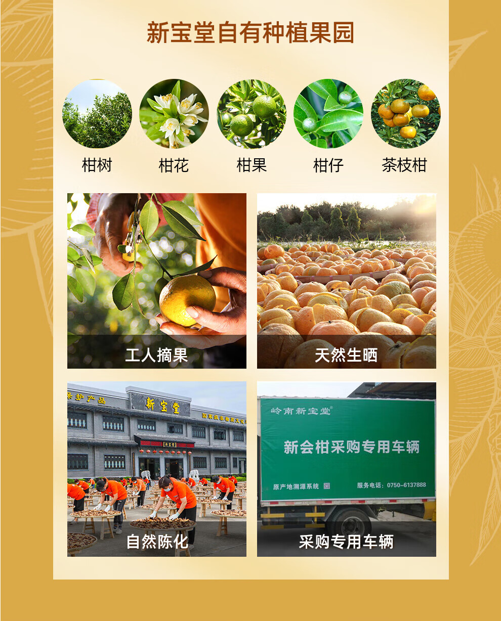 新宝堂 新会陈皮养生茶袋泡茶礼盒90克(30克*3盒)CD-HC30