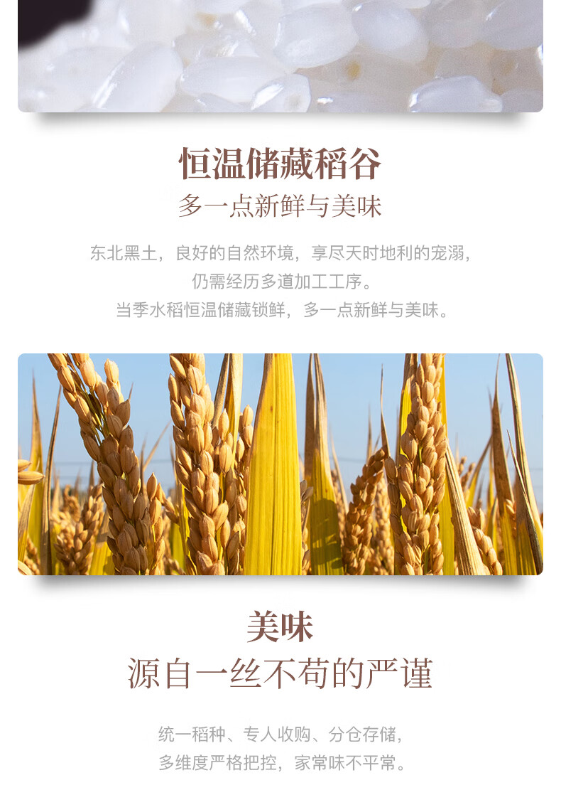 十月稻田东北珍珠米 一年一季 真空包装 东北大米2.5kg