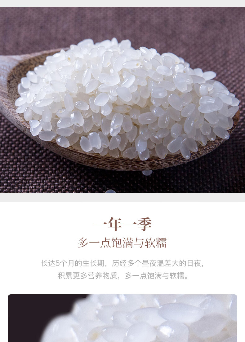 十月稻田东北珍珠米 一年一季 真空包装 东北大米2.5kg