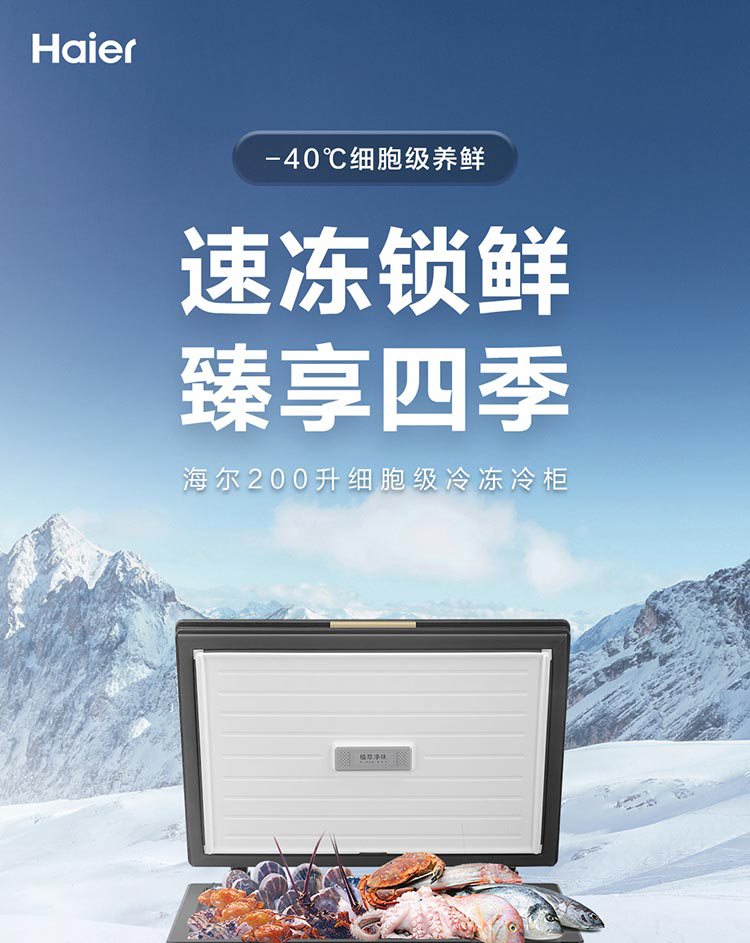 海尔（Haier）冰柜家用小型冷藏冷冻保鲜柜超低温卧式冷柜 BC/BD-226GHEPG