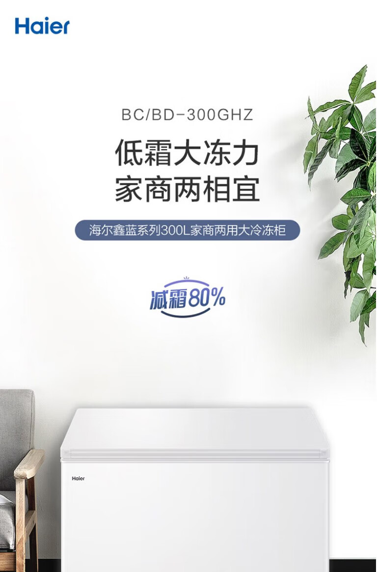 海尔（Haier）冰柜家用卧式冷柜冷藏保鲜冷冻速冻商用冰柜大容量 BC/BD-305HM