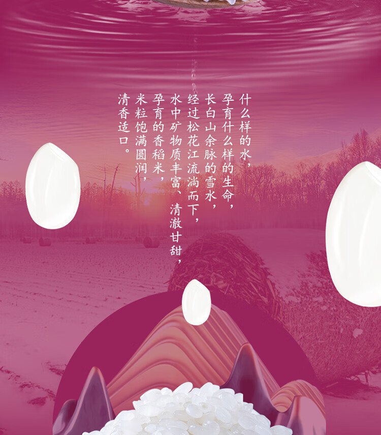 十月稻田黄金产地 寒地之最香稻王5kg