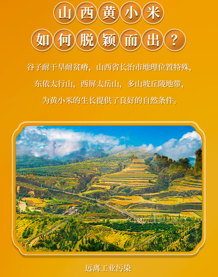 十月稻田山西黄小米 企业员工福利 送礼佳品 沁州黄小米组合5kg
