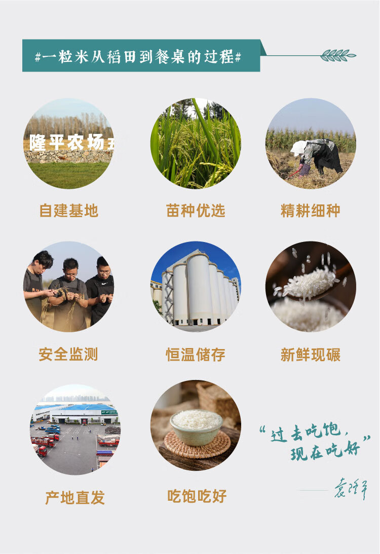 隆平农场 袁隆平 东北大米香米 隆平农场五常基地5kg