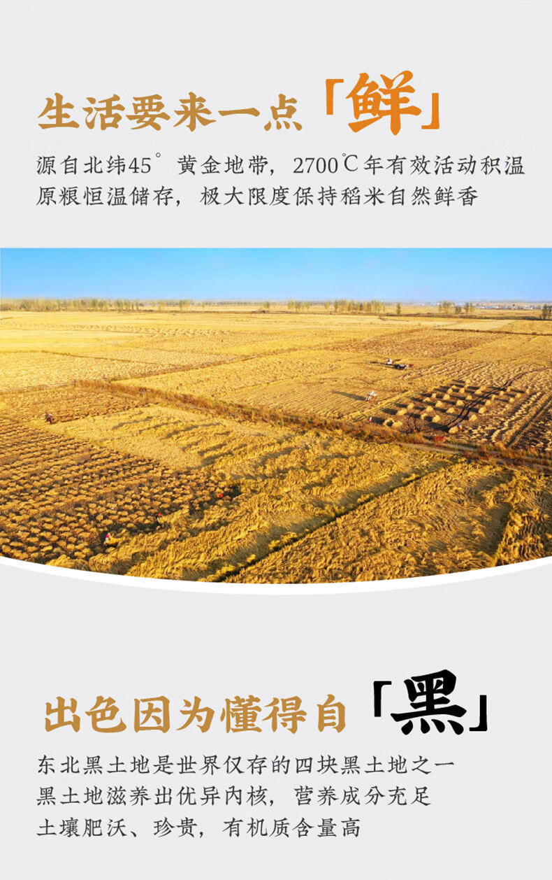 隆平农场 袁隆平 东北大米香米 隆平农场五常基地5kg
